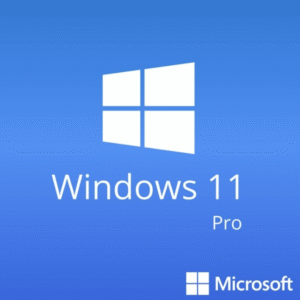Windows 11 Pro